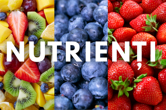 Dincolo de Calorii: De Ce Te Simți Obosit Chiar Dacă Mănânci "Suficient"?